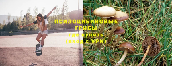 первитин Пересвет