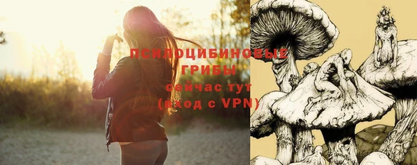 СК Переславль-Залесский