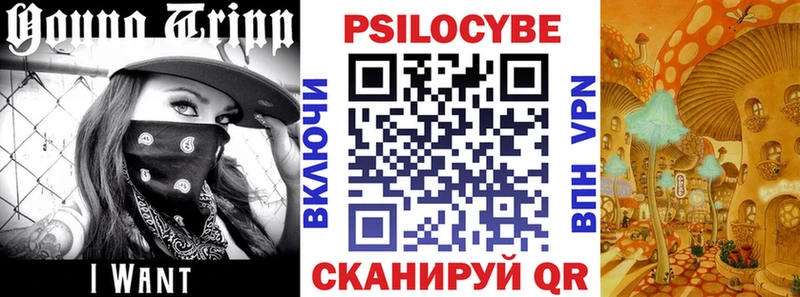 купить   Аркадак  darknet телеграм  Галлюциногенные грибы Psilocybe 